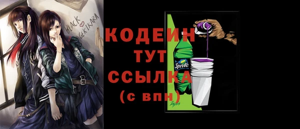 молекула духа Богородицк