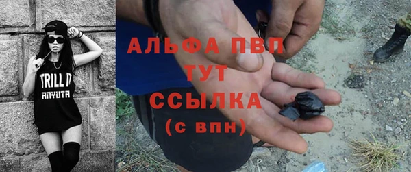 сатива Анжеро-Судженск