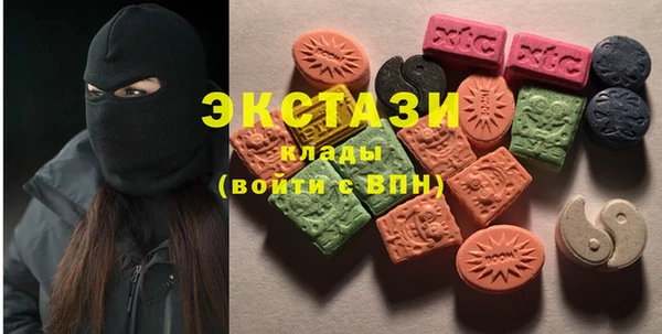 молекула духа Богородицк