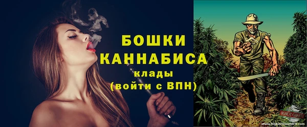 молекула духа Богородицк