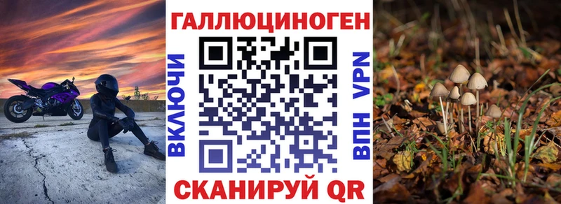 Галлюциногенные грибы MAGIC MUSHROOMS  shop как зайти  Гусев 