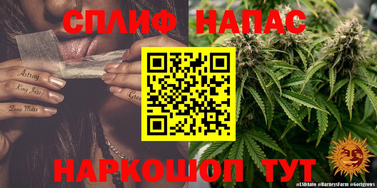 Каннабис семена Гусев